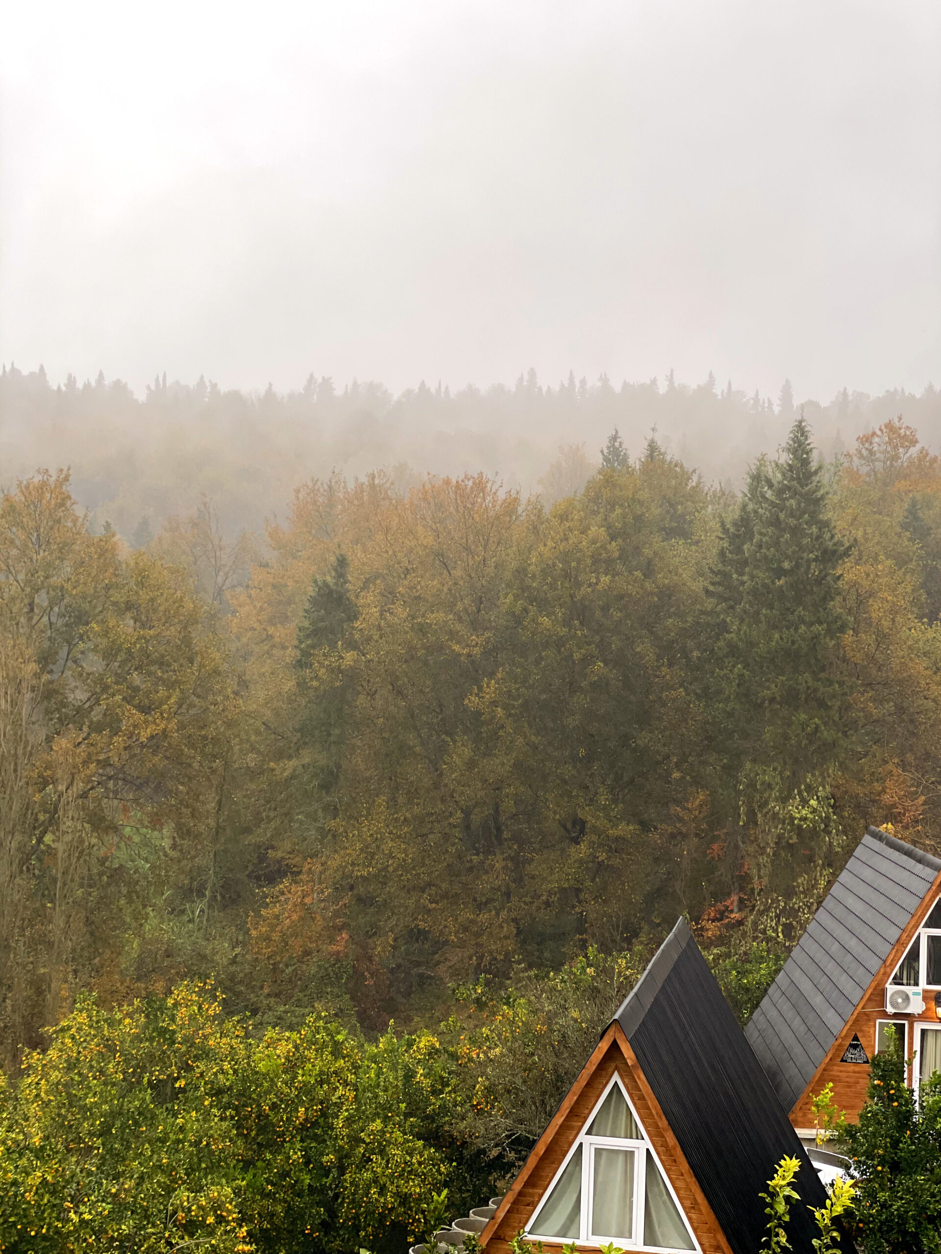 InShot_20231225_131356667