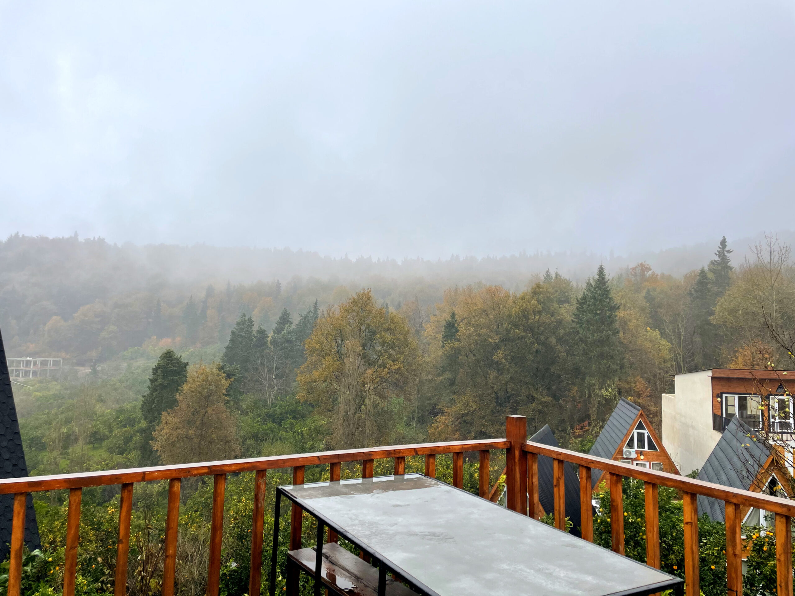 InShot_20231225_131453512