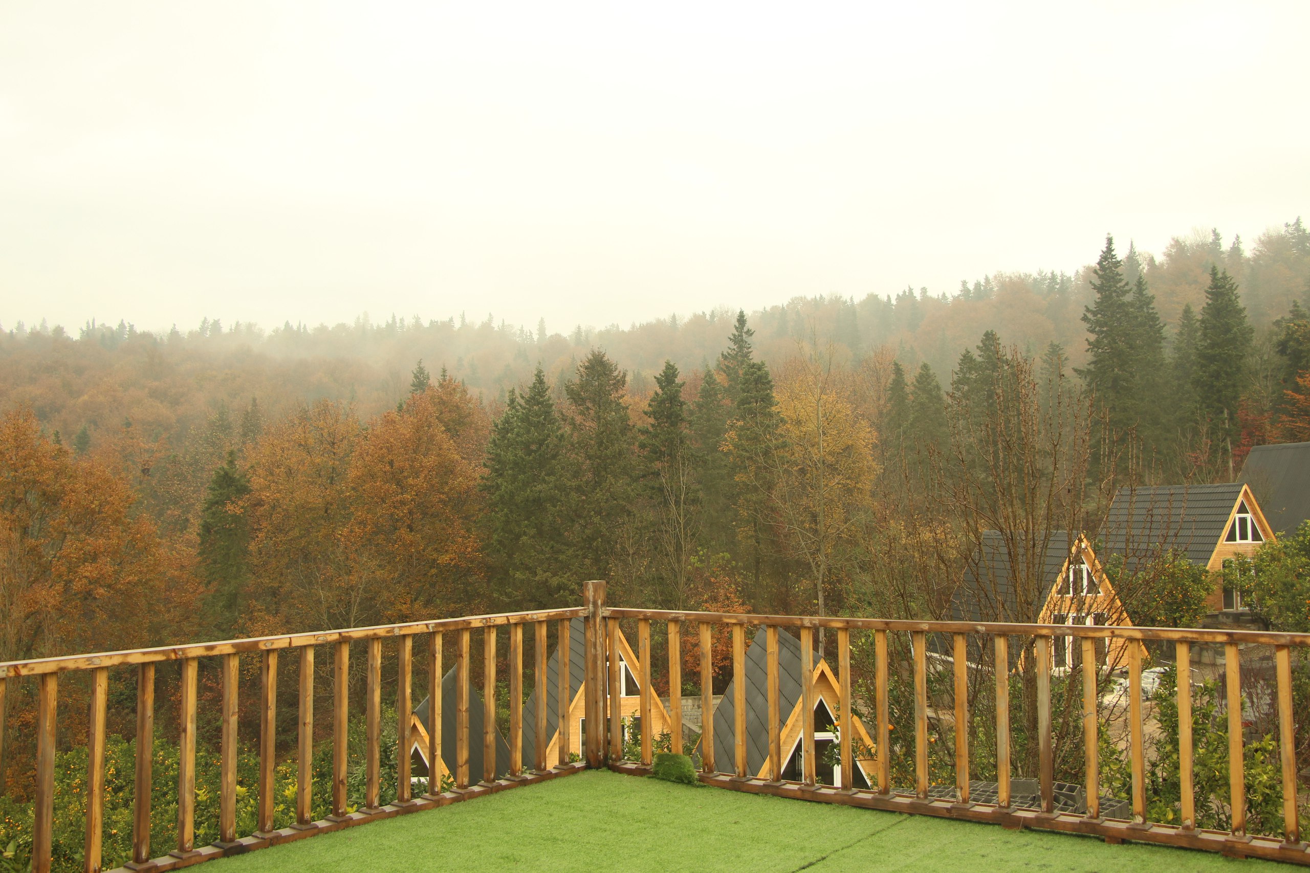 photo_2025-03-15_06-24-36